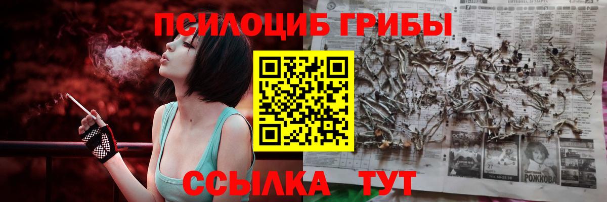 Стрежевой  Псилоцибиновые грибы ЛСД  Вход с VPN  Галлюциногенные грибы мицелий 