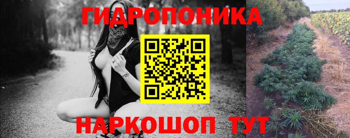 Каннабис Bruce Banner  Вход с VPN  МАРИХУАНА Amnesia  Стрежевой 